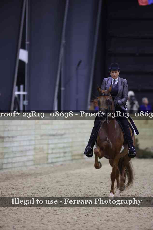 Proof 23R13_08638