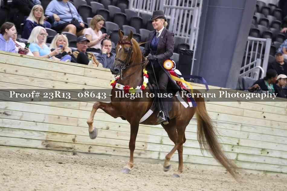 Proof 23R13_08643