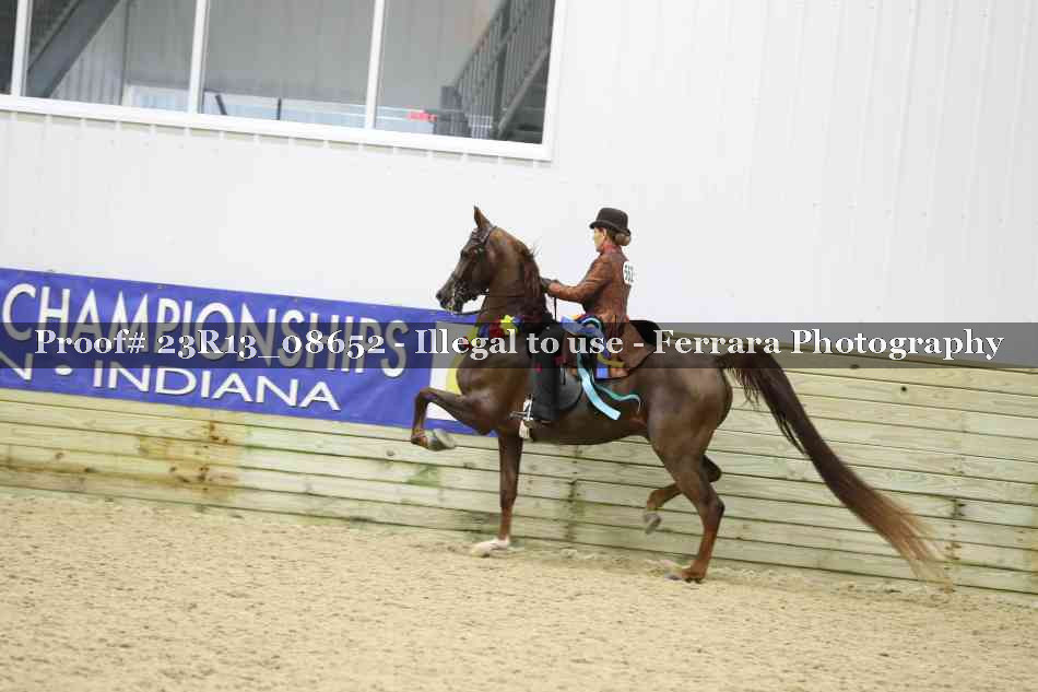 Proof 23R13_08652
