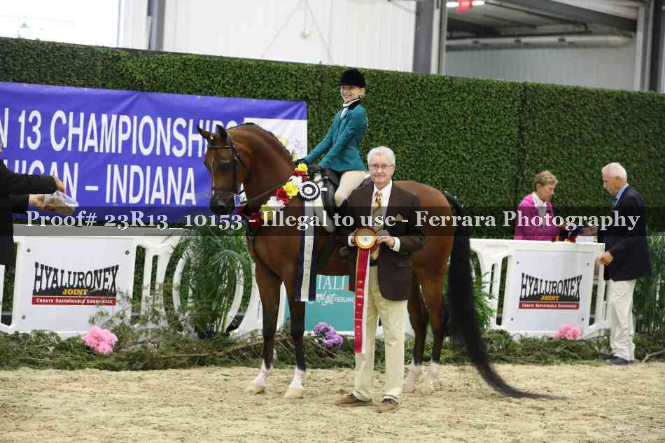 Proof 23R13_10153