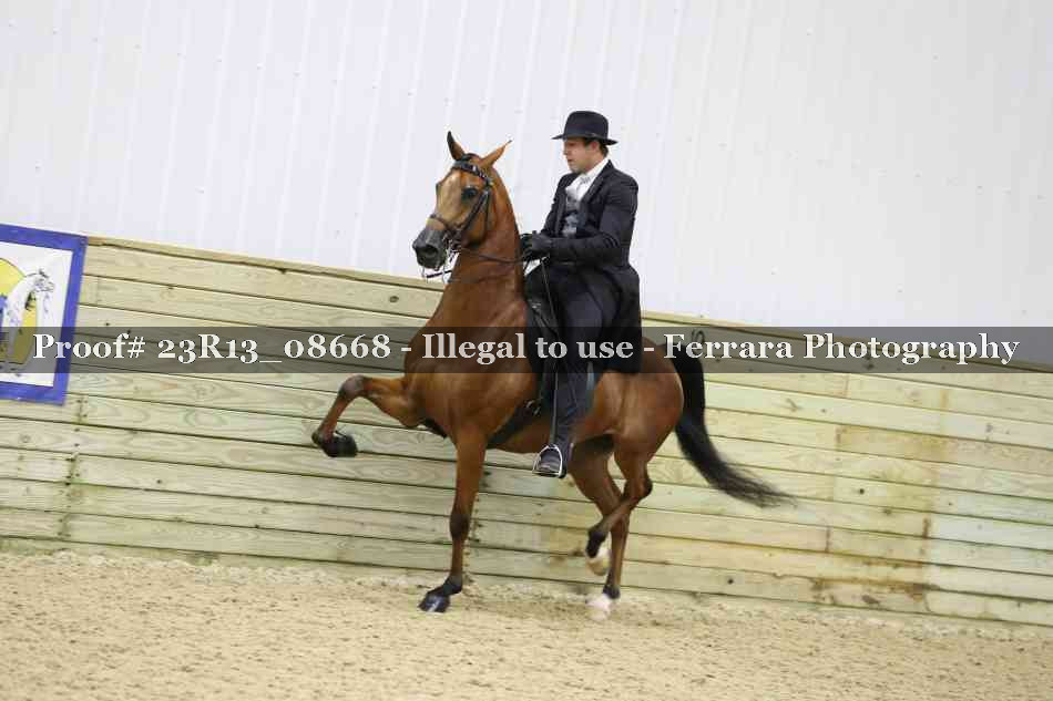 Proof 23R13_08668