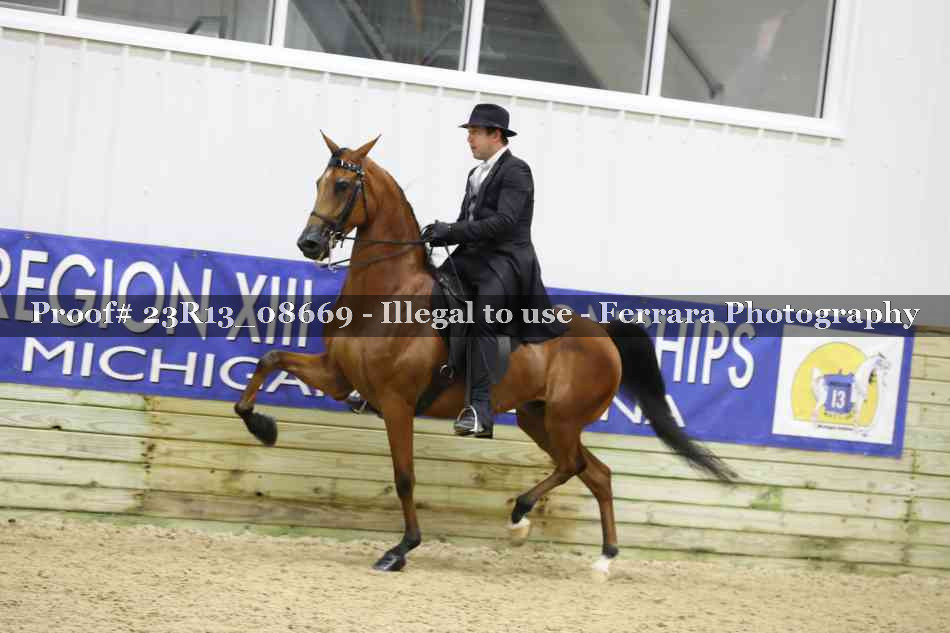 Proof 23R13_08669