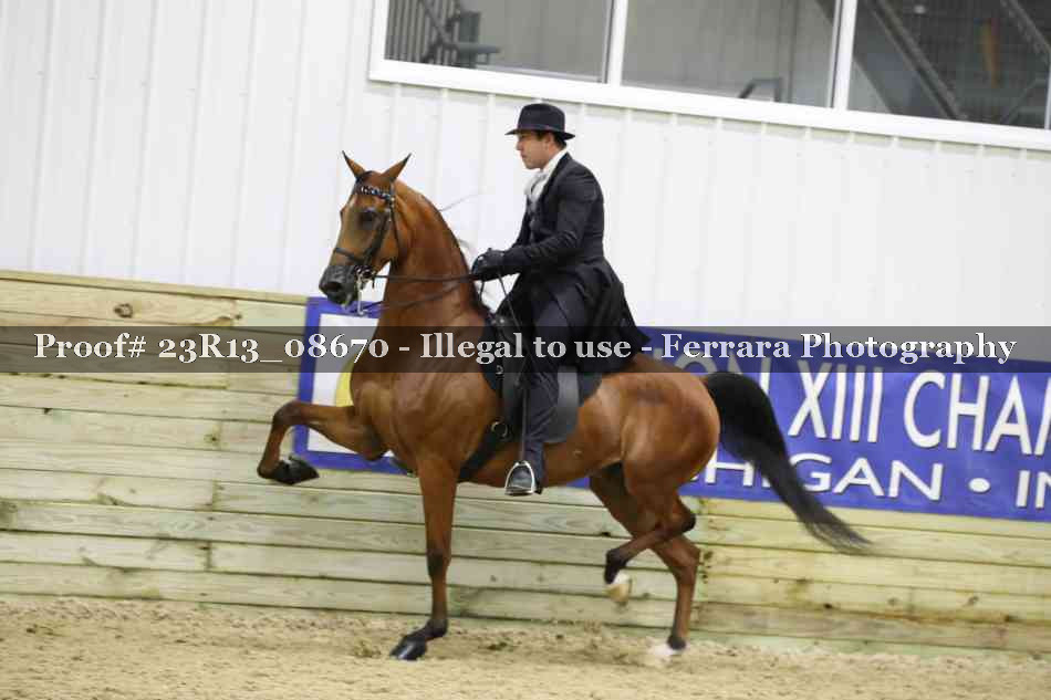 Proof 23R13_08670