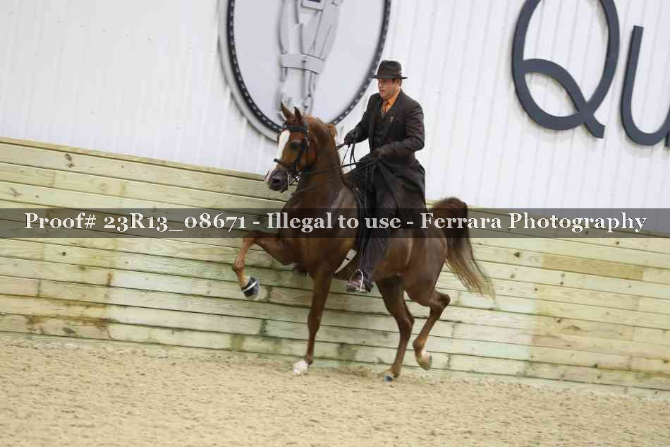 Proof 23R13_08671