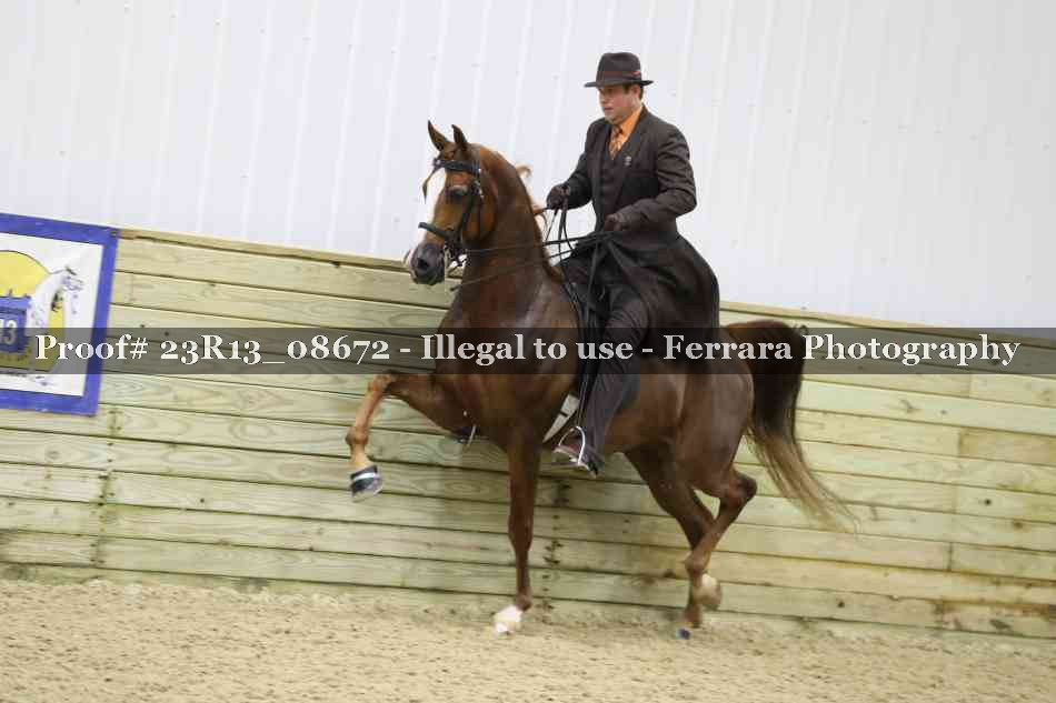 Proof 23R13_08672