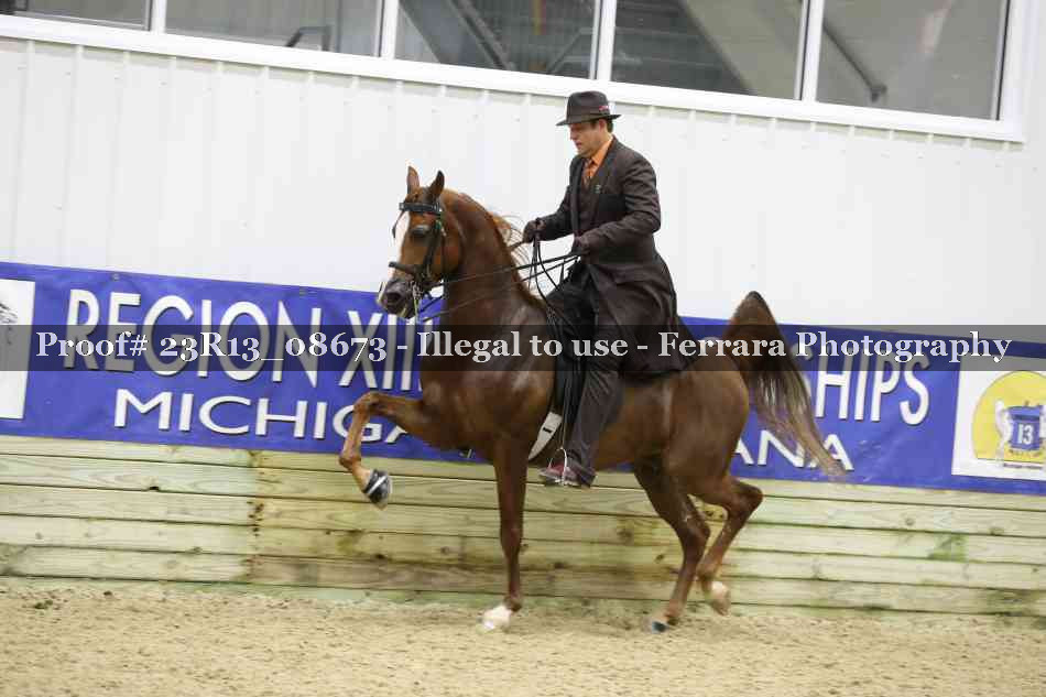 Proof 23R13_08673