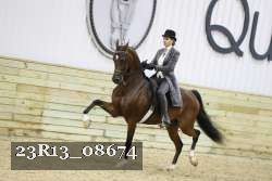 23R13_08674 proof