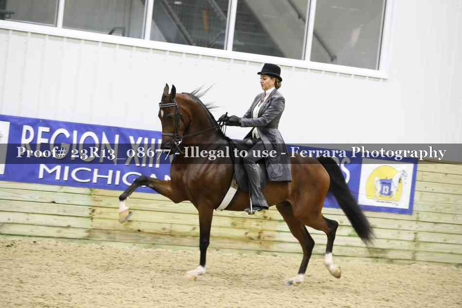 Proof 23R13_08677