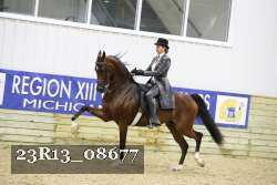 23R13_08677 proof