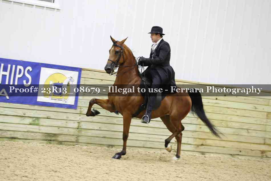 Proof 23R13_08679
