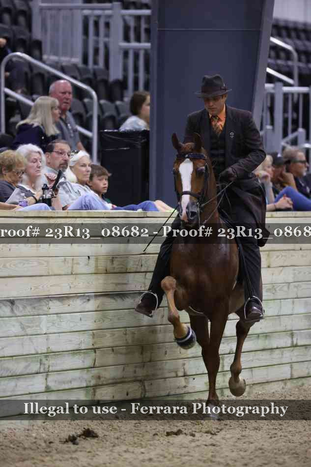 Proof 23R13_08682