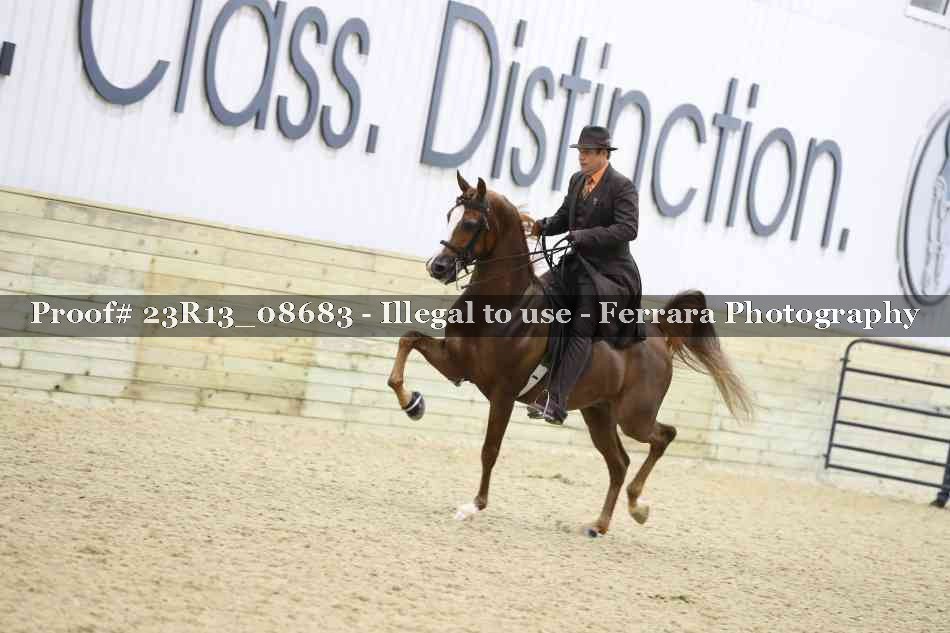 Proof 23R13_08683