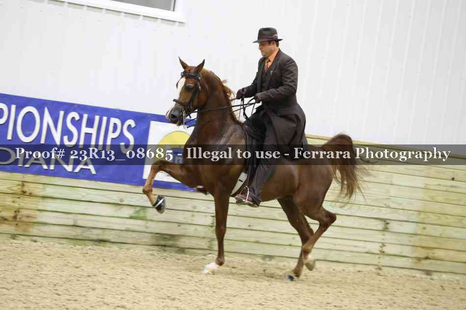 Proof 23R13_08685