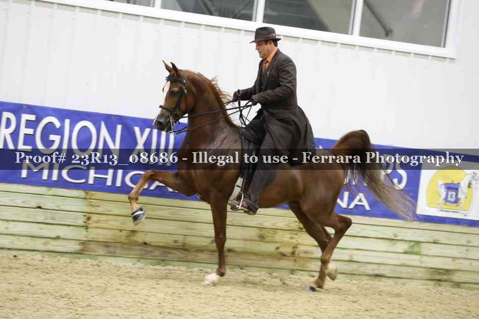 Proof 23R13_08686