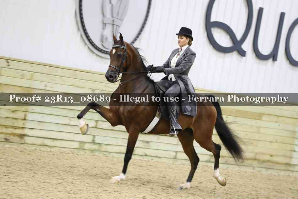 Proof 23R13_08689