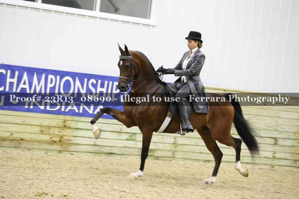 Proof 23R13_08690