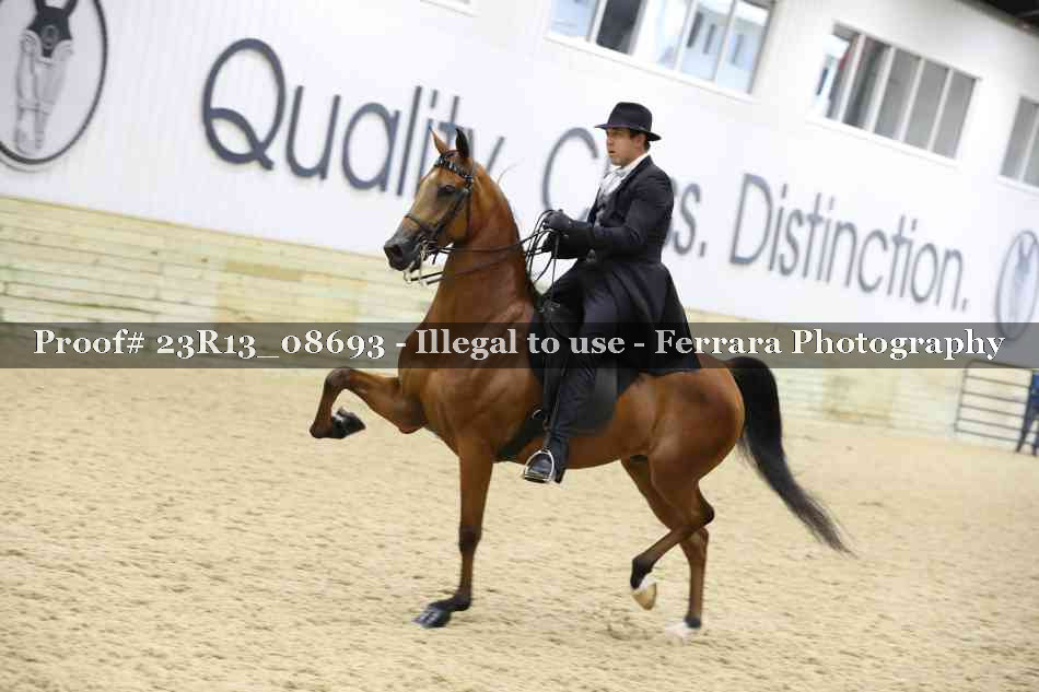 Proof 23R13_08693