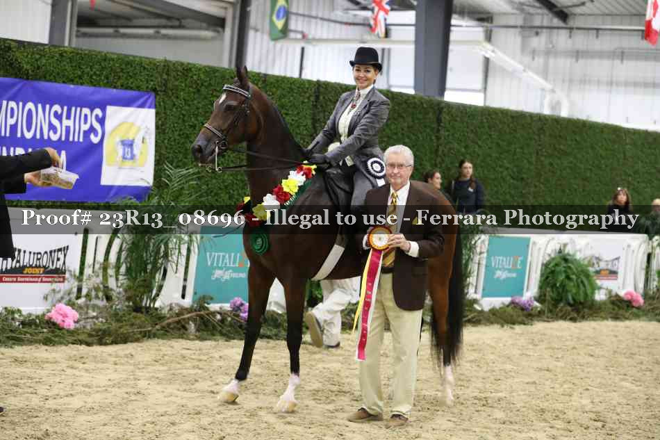Proof 23R13_08696