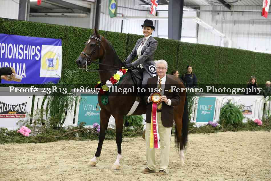 Proof 23R13_08697