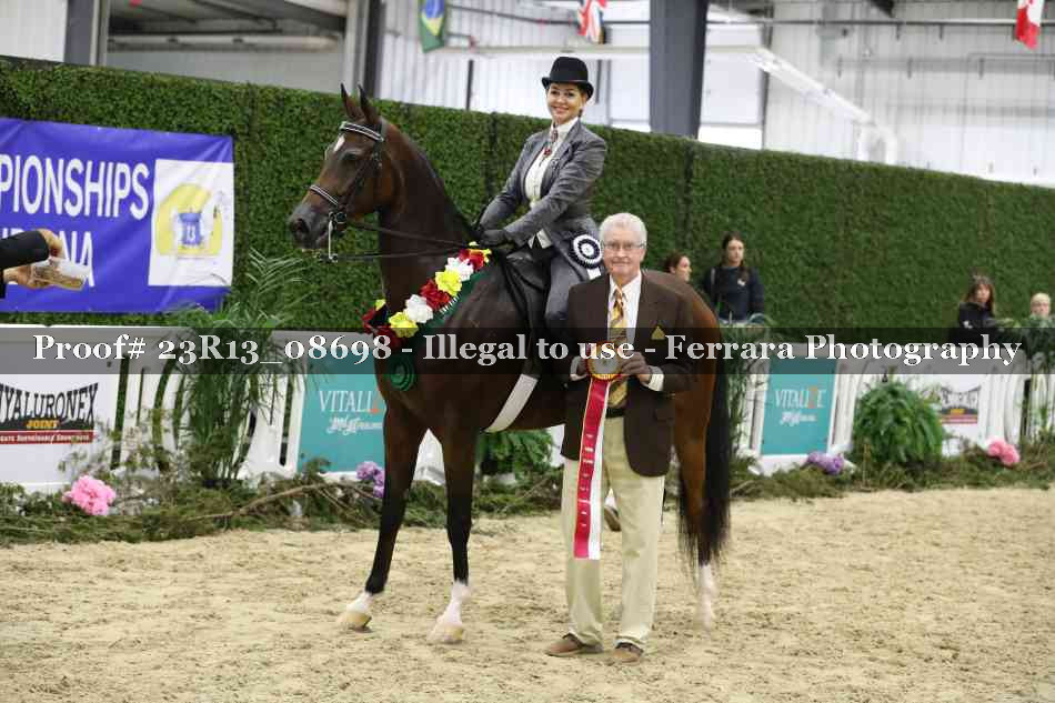 Proof 23R13_08698