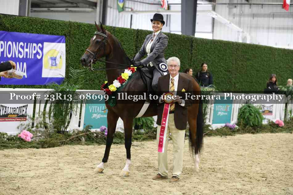 Proof 23R13_08699