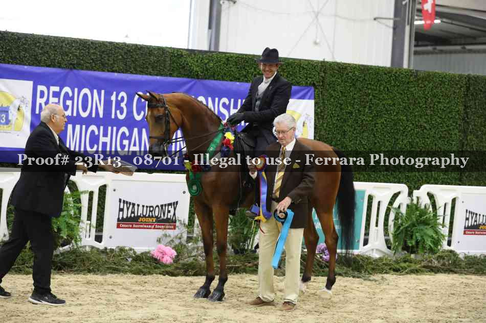 Proof 23R13_08701