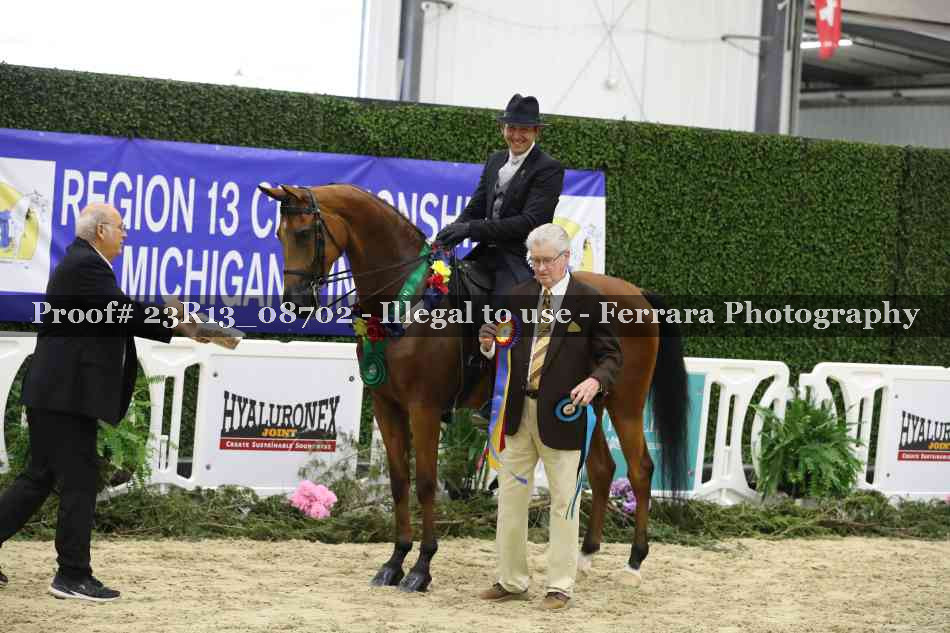 Proof 23R13_08702