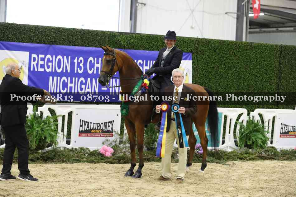 Proof 23R13_08703
