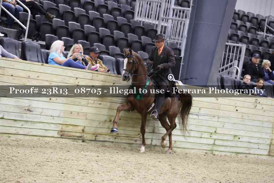 Proof 23R13_08705