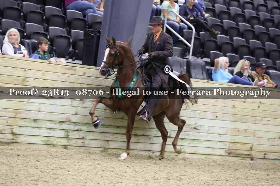 Proof 23R13_08706