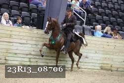23R13_08706 proof