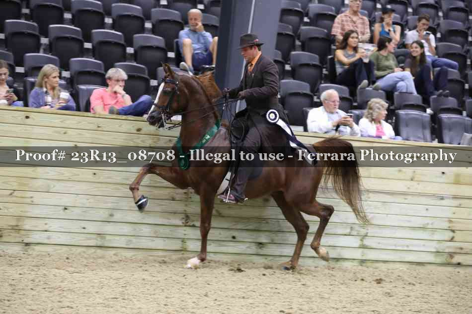 Proof 23R13_08708