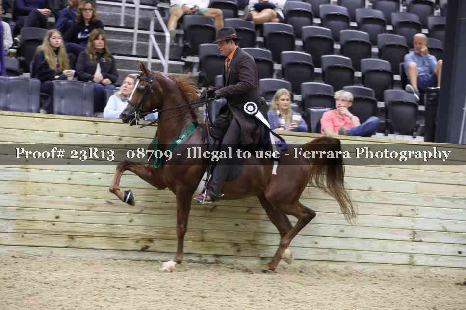 Proof 23R13_08709