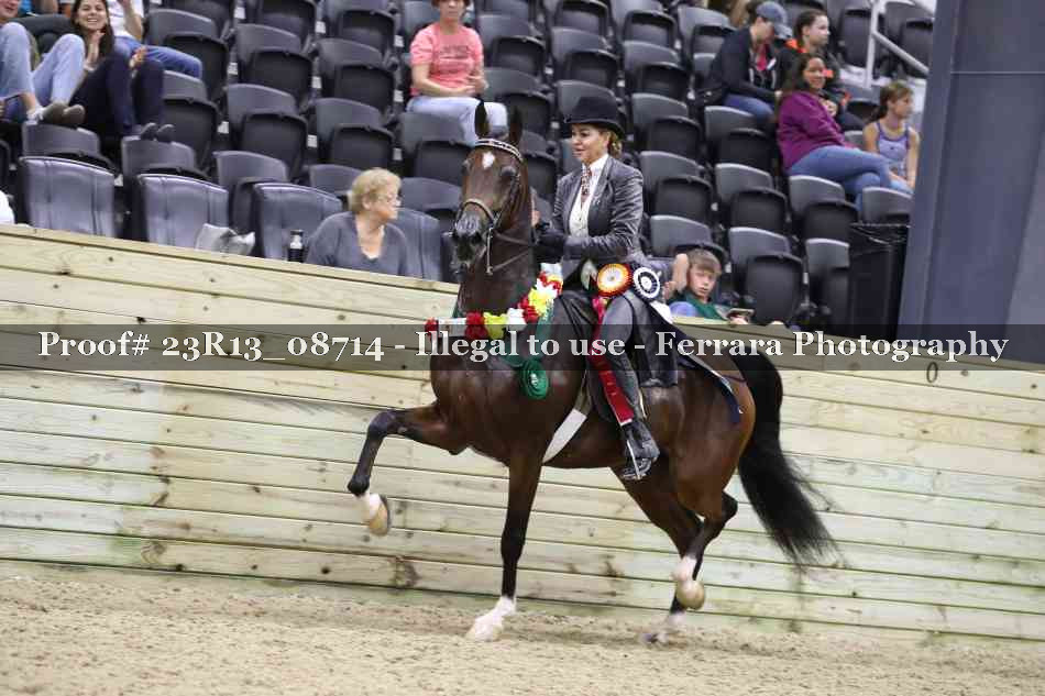Proof 23R13_08714