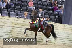 23R13_08714 proof