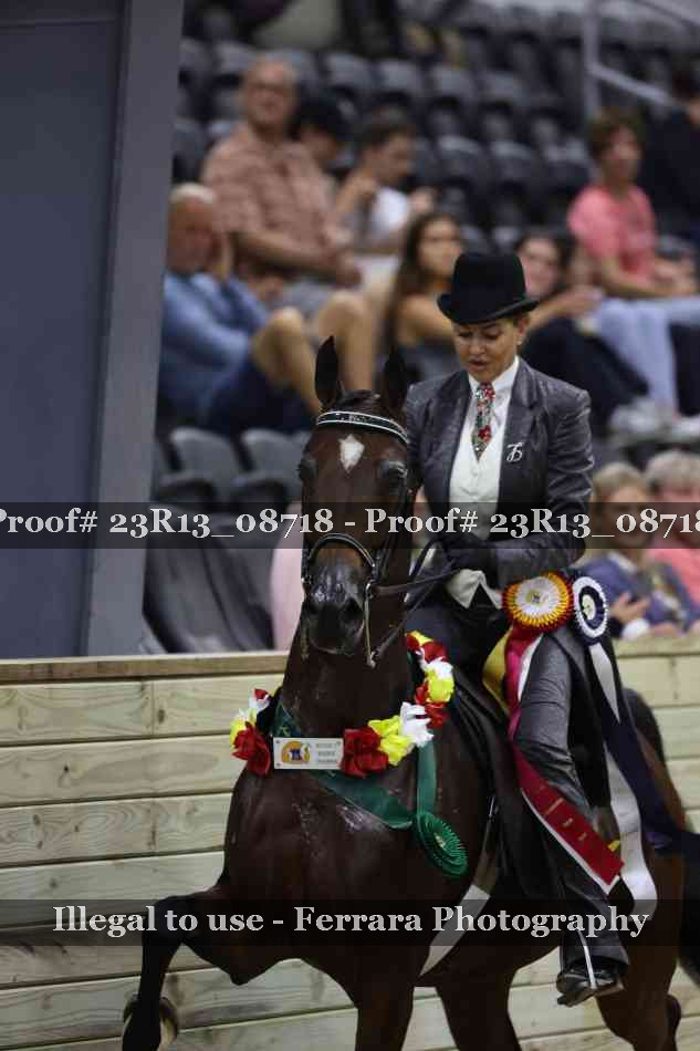 Proof 23R13_08718