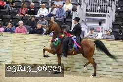 23R13_08723 proof