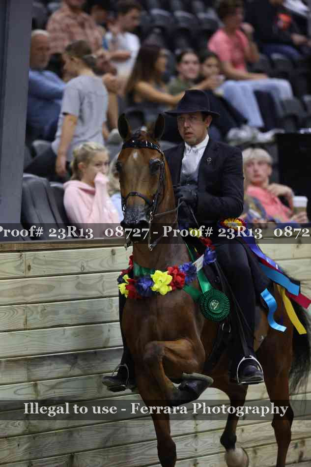 Proof 23R13_08727