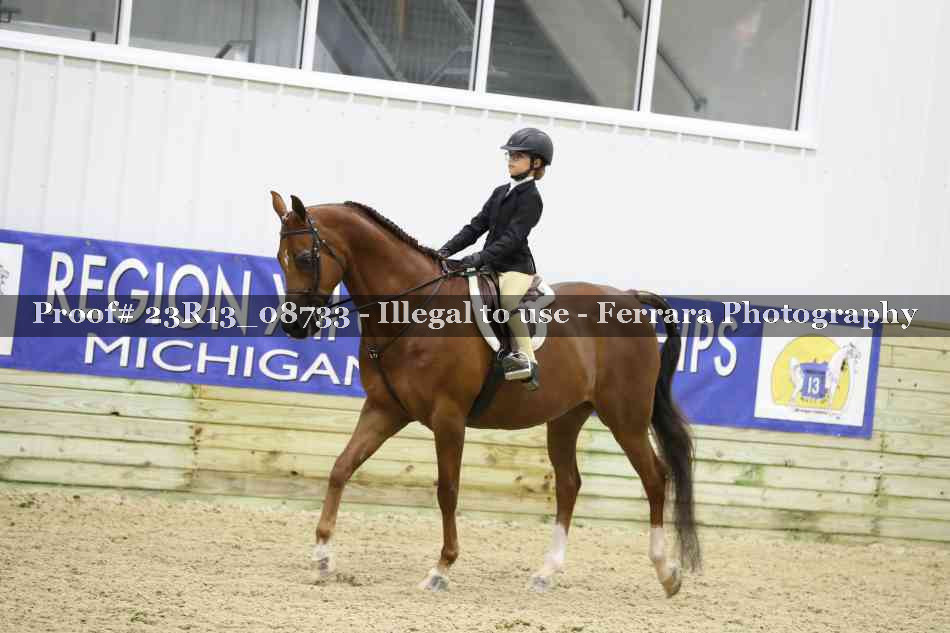 Proof 23R13_08733