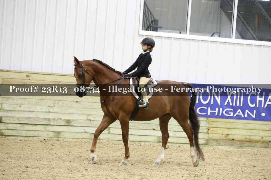 Proof 23R13_08734