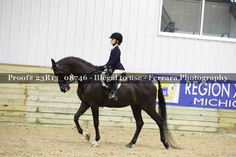 Proof 23R13_08746