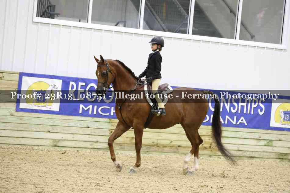 Proof 23R13_08751