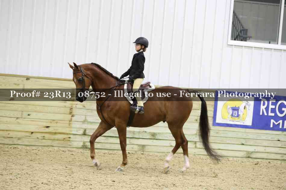 Proof 23R13_08752