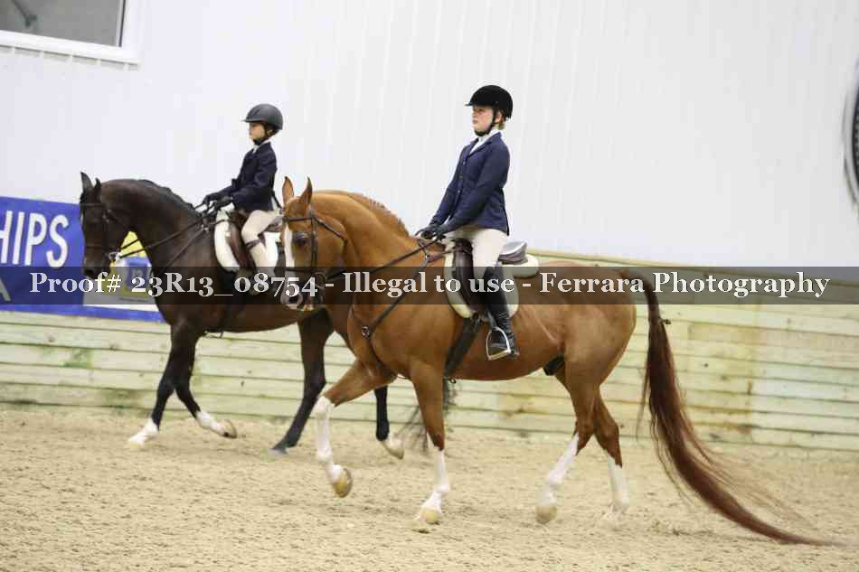 Proof 23R13_08754