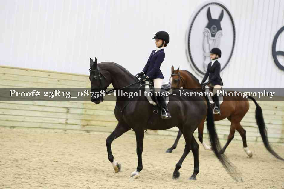 Proof 23R13_08758