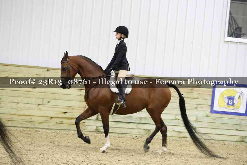 Proof 23R13_08761