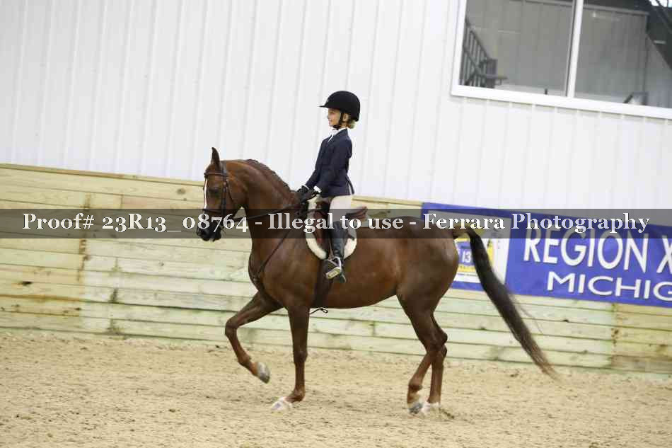Proof 23R13_08764