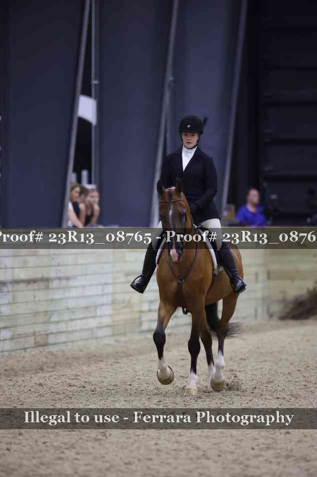 Proof 23R13_08765