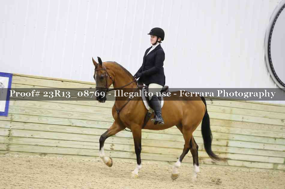 Proof 23R13_08769