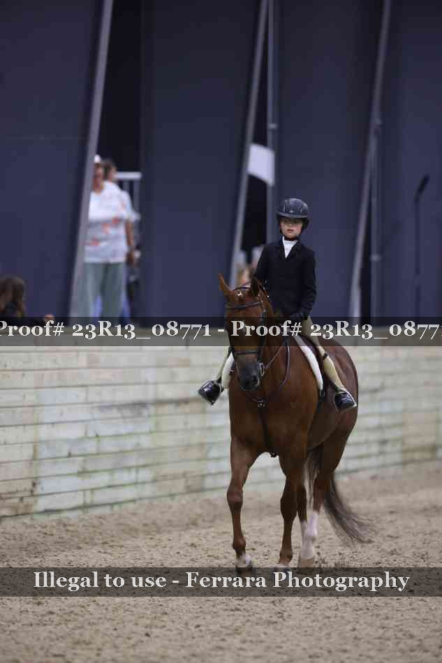 Proof 23R13_08771